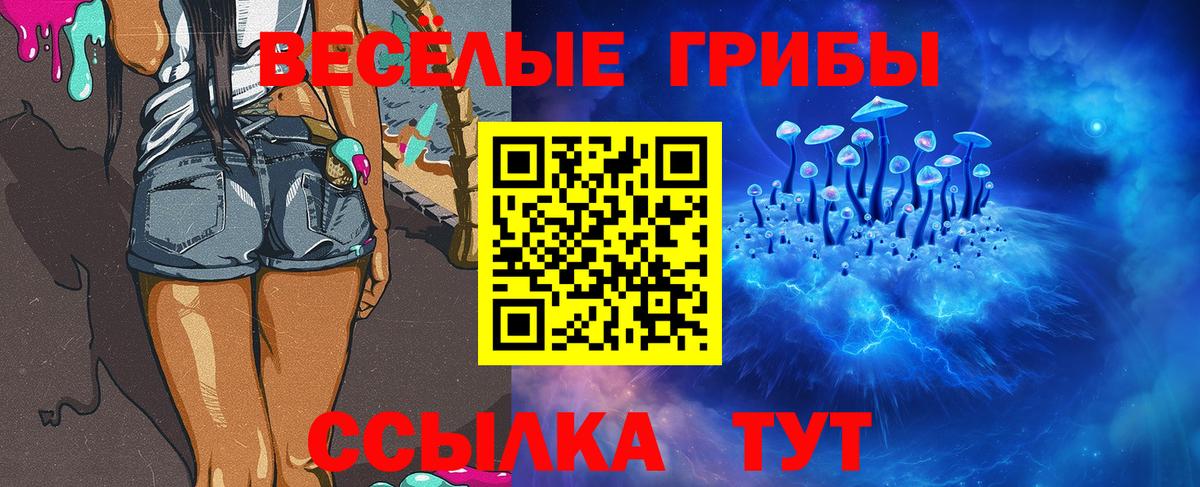Богородицк  где можно купить наркотик  Псилоцибиновые грибы прущие грибы  Вход с VPN  Галлюциногенные грибы мицелий 